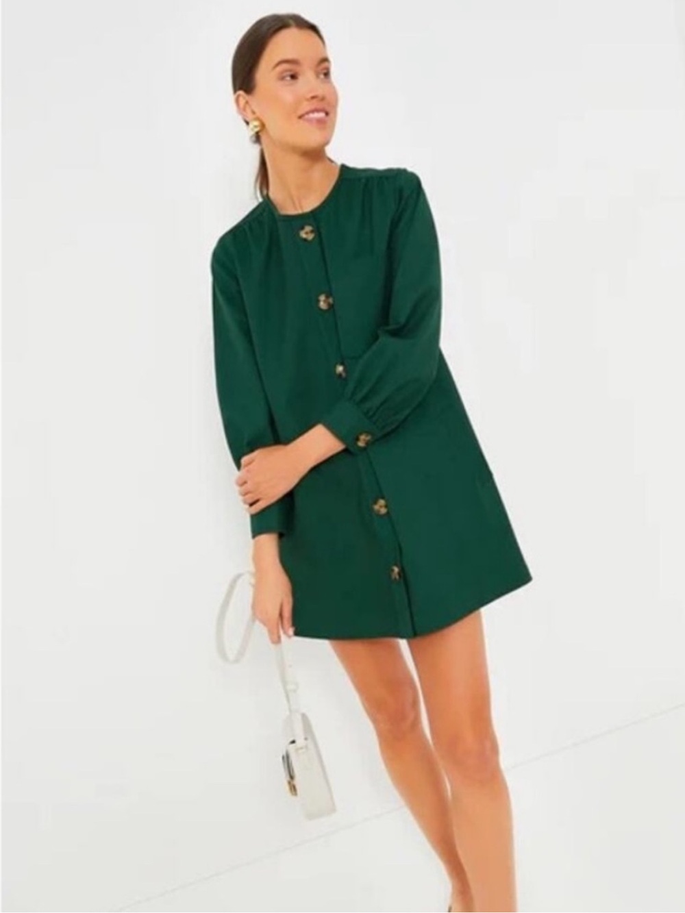 Tuckernuck Blake Dress in Green XL
